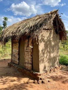 Image of a walled latrine with a thatched roof and two thatched doors.